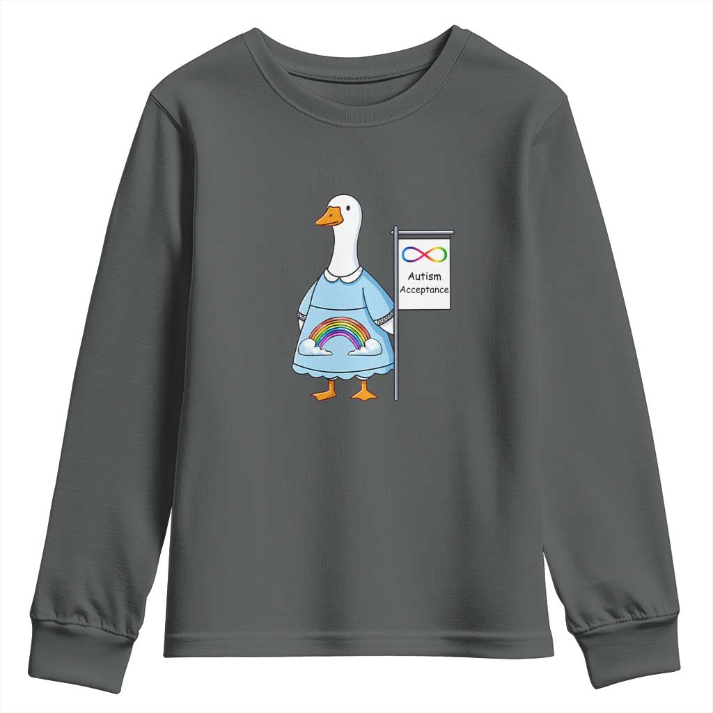Autism Acceptance Youth Sweatshirt Neurodivergent Awareness Silly Goose Support TS14 Dark Heather Print Your Wear