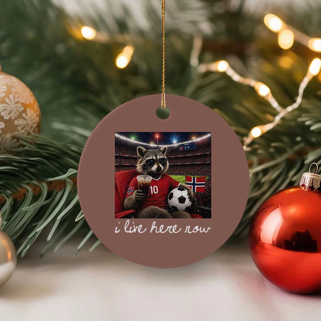 Norway Soccer Football Fan Norge Norwegian Flag Ceramic Ornament Funny Raccoon Drinking Iced Coffee TS14 1pc Mocha Print Your Wear