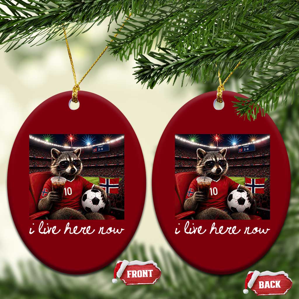 Norway Soccer Football Fan Norge Norwegian Flag Ceramic Ornament Funny Raccoon Drinking Iced Coffee TS14 Print Your Wear