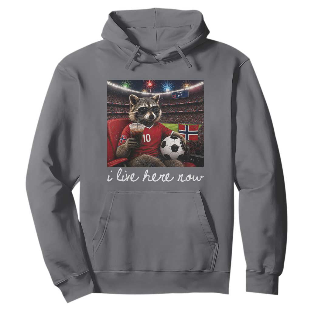 Norway Soccer Football Fan Norge Norwegian Flag Hoodie Funny Raccoon Drinking Iced Coffee TS14 Charcoal Print Your Wear