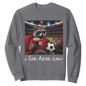 Norway Soccer Football Fan Norge Norwegian Flag Sweatshirt Funny Raccoon Drinking Iced Coffee TS14 Charcoal Print Your Wear