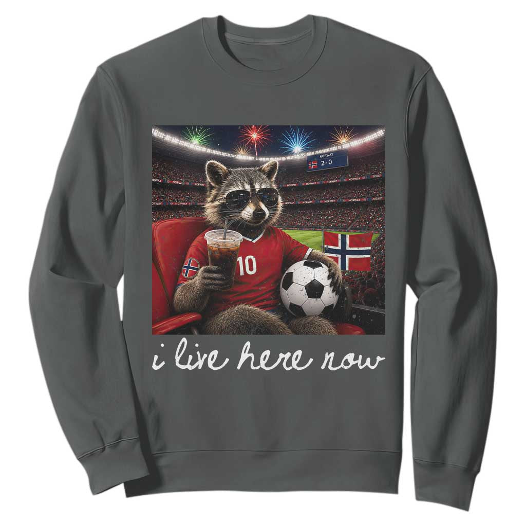 Norway Soccer Football Fan Norge Norwegian Flag Sweatshirt Funny Raccoon Drinking Iced Coffee TS14 Dark Heather Print Your Wear