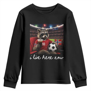 Norway Soccer Football Fan Norge Norwegian Flag Youth Sweatshirt Funny Raccoon Drinking Iced Coffee TS14 Black Print Your Wear