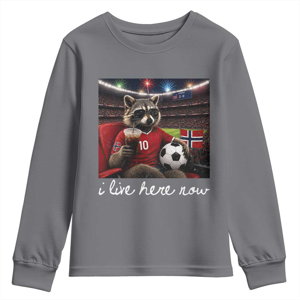 Norway Soccer Football Fan Norge Norwegian Flag Youth Sweatshirt Funny Raccoon Drinking Iced Coffee TS14 Charcoal Print Your Wear