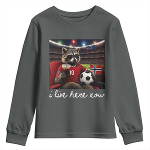 Norway Soccer Football Fan Norge Norwegian Flag Youth Sweatshirt Funny Raccoon Drinking Iced Coffee TS14 Dark Heather Print Your Wear