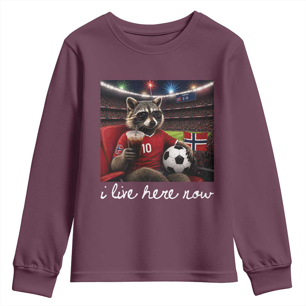 Norway Soccer Football Fan Norge Norwegian Flag Youth Sweatshirt Funny Raccoon Drinking Iced Coffee TS14 Maroon Print Your Wear