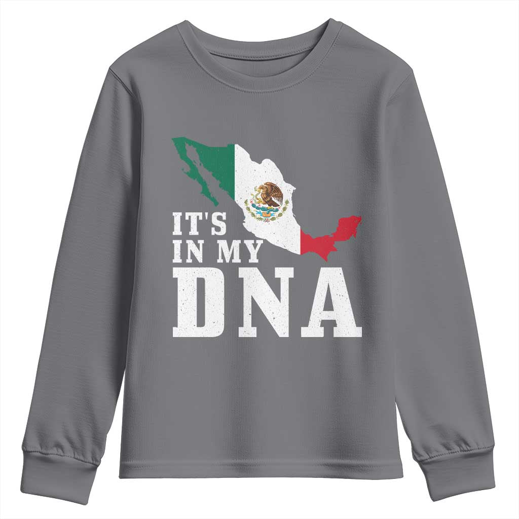 It's in My DNA Mexican Proud Hispanic Gift Mexico Flag Youth Sweatshirt TS14 Charcoal Print Your Wear