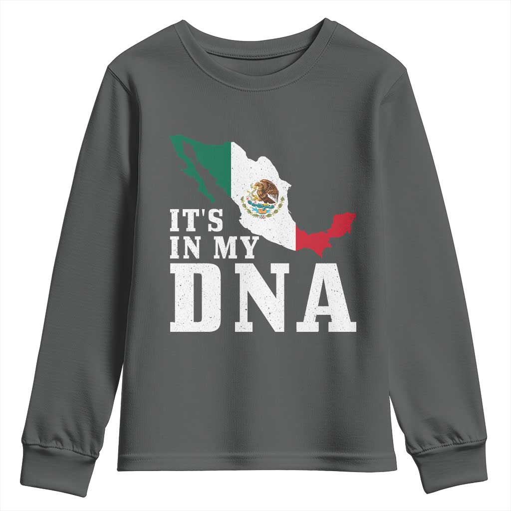 It's in My DNA Mexican Proud Hispanic Gift Mexico Flag Youth Sweatshirt TS14 Dark Heather Print Your Wear