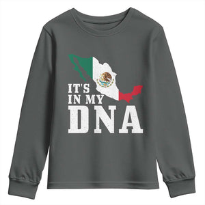 It's in My DNA Mexican Proud Hispanic Gift Mexico Flag Youth Sweatshirt TS14 Dark Heather Print Your Wear