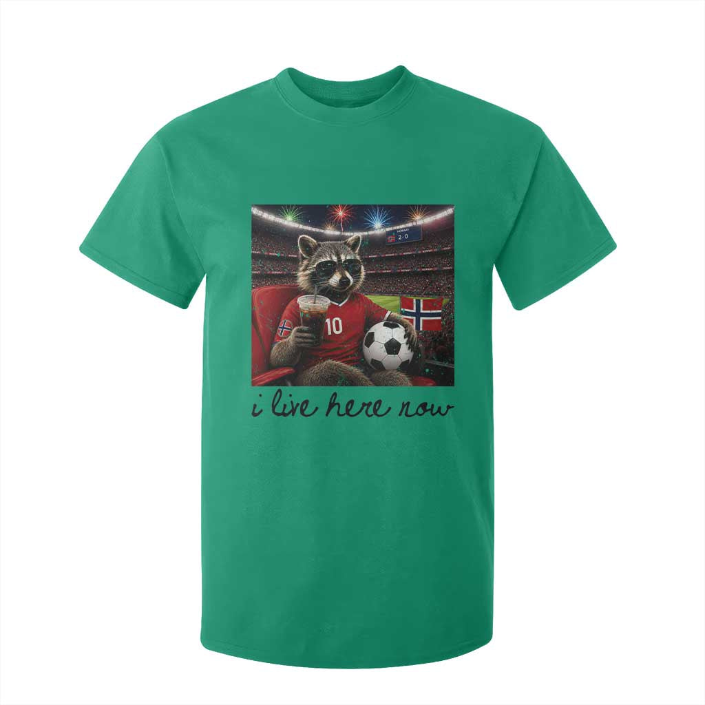 Norway Soccer Football Fan Norge Norwegian Flag T Shirt For Kid Funny Raccoon I Live Here Now TS14 Irish Green Print Your Wear