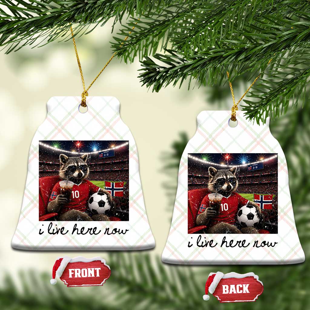 Norway Soccer Football Fan Norge Norwegian Flag Ceramic Ornament Funny Raccoon I Live Here Now TS14 Print Your Wear