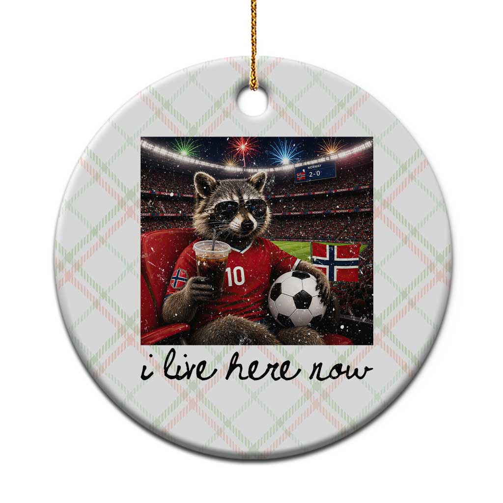 Norway Soccer Football Fan Norge Norwegian Flag Ceramic Ornament Funny Raccoon I Live Here Now TS14 1pc Christmas Plaid Print Your Wear