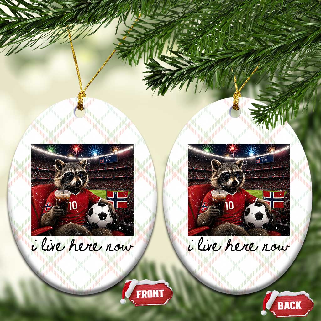Norway Soccer Football Fan Norge Norwegian Flag Ceramic Ornament Funny Raccoon I Live Here Now TS14 Print Your Wear
