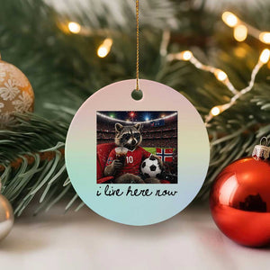 Norway Soccer Football Fan Norge Norwegian Flag Ceramic Ornament Funny Raccoon I Live Here Now TS14 1pc Pastel Print Your Wear