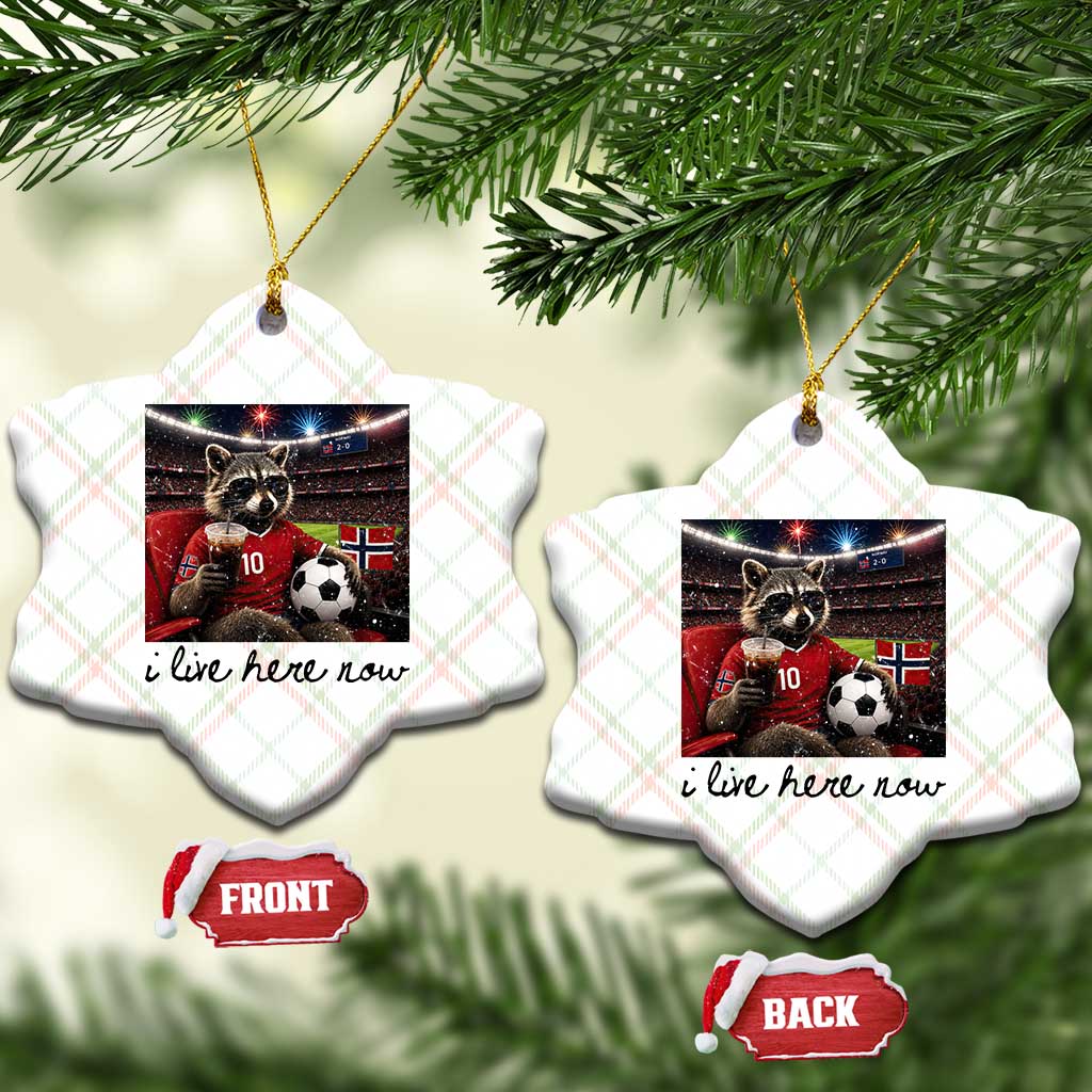 Norway Soccer Football Fan Norge Norwegian Flag Ceramic Ornament Funny Raccoon I Live Here Now TS14 Print Your Wear