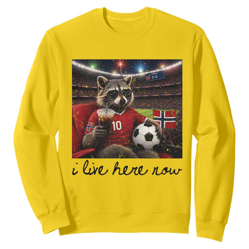 Norway Soccer Football Fan Norge Norwegian Flag Sweatshirt Funny Raccoon I Live Here Now TS14 Daisy Print Your Wear