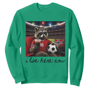 Norway Soccer Football Fan Norge Norwegian Flag Sweatshirt Funny Raccoon I Live Here Now TS14 Irish Green Print Your Wear
