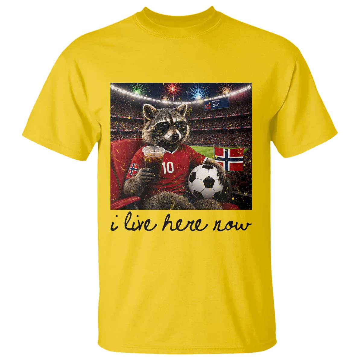 Norway Soccer Football Fan Norge Norwegian Flag T Shirt Funny Raccoon I Live Here Now TS14 Daisy Print Your Wear