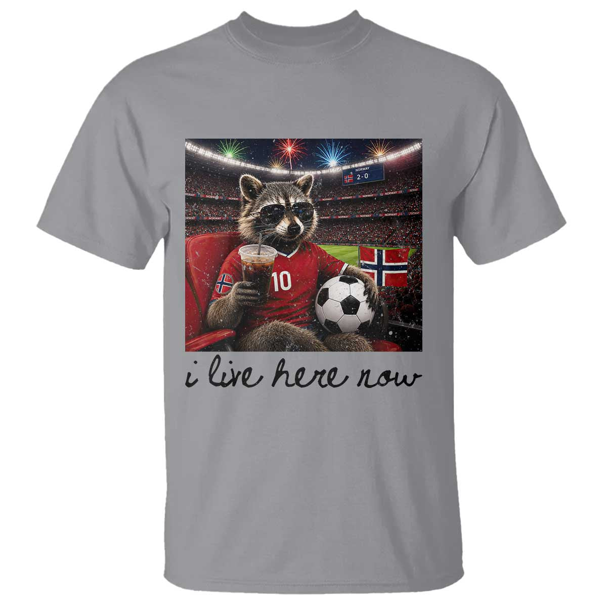 Norway Soccer Football Fan Norge Norwegian Flag T Shirt Funny Raccoon I Live Here Now TS14 Sport Gray Print Your Wear
