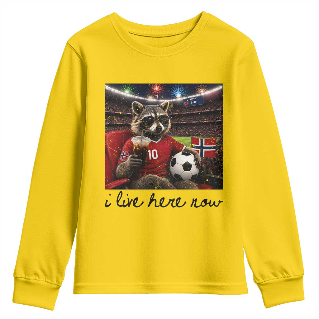 Norway Soccer Football Fan Norge Norwegian Flag Youth Sweatshirt Funny Raccoon I Live Here Now TS14 Daisy Print Your Wear