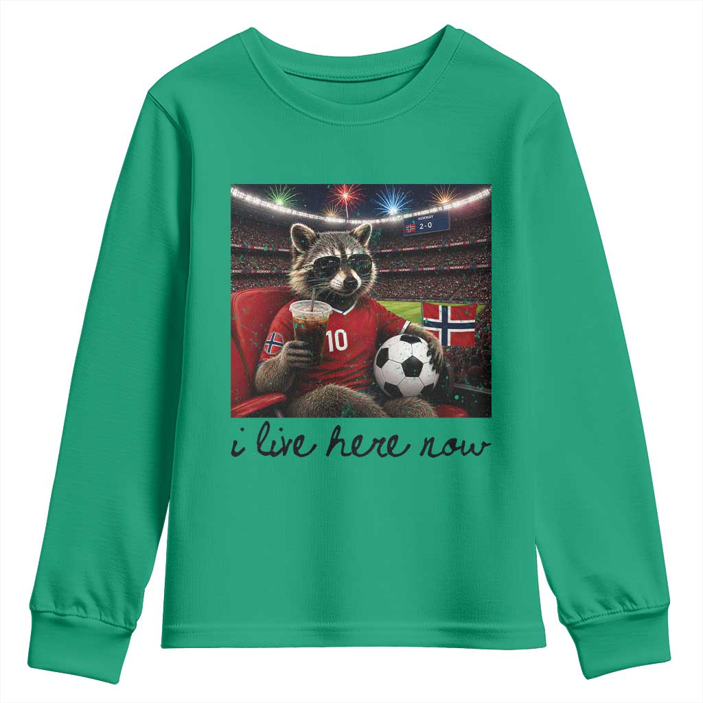 Norway Soccer Football Fan Norge Norwegian Flag Youth Sweatshirt Funny Raccoon I Live Here Now TS14 Irish Green Print Your Wear