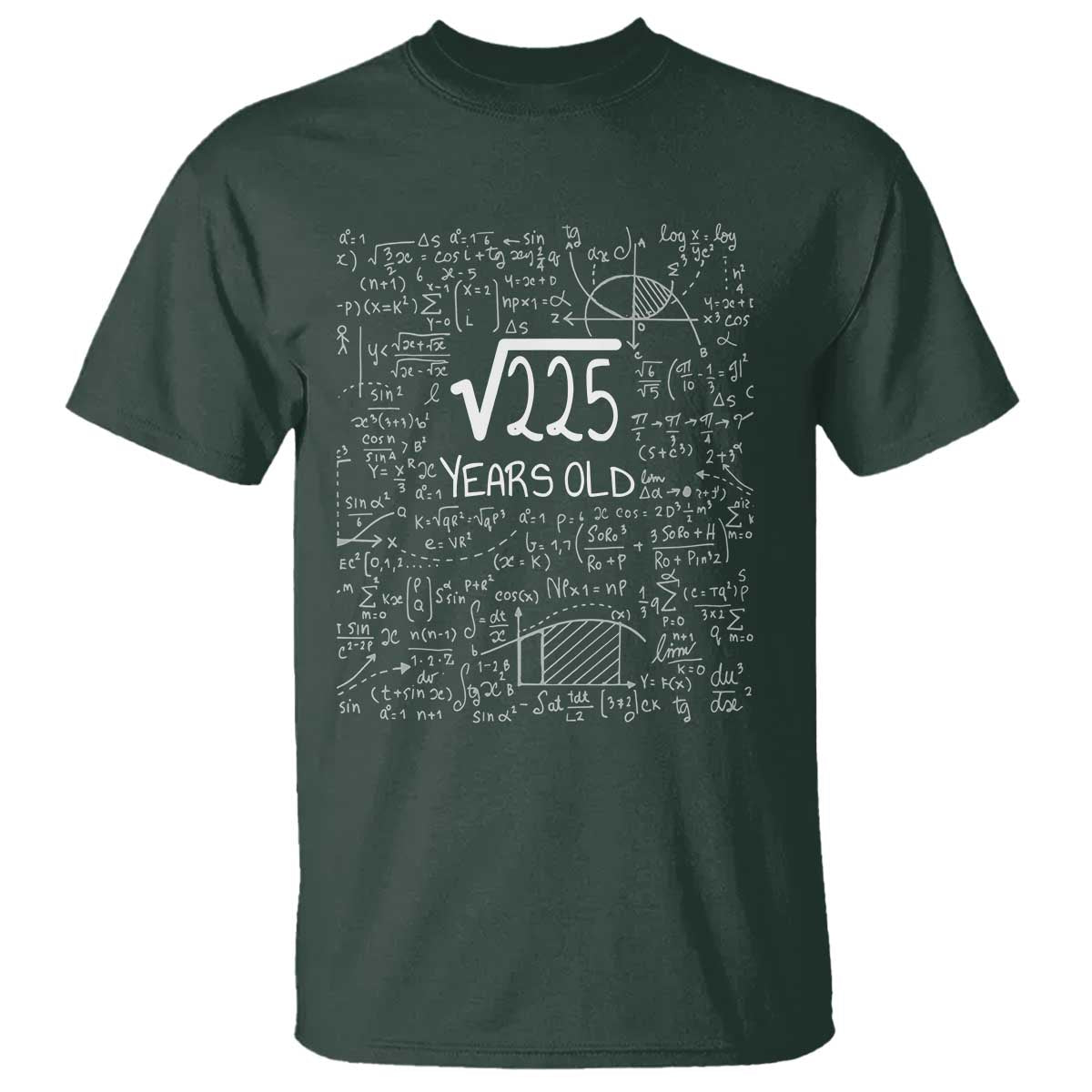 15th Birthday Math T Shirt Square Root of 225 Funny Math Nerd 15 Year Old Gift