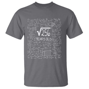 16th Birthday Math T Shirt Square Root of 256 Funny Math Nerd 16 Year Old Gift