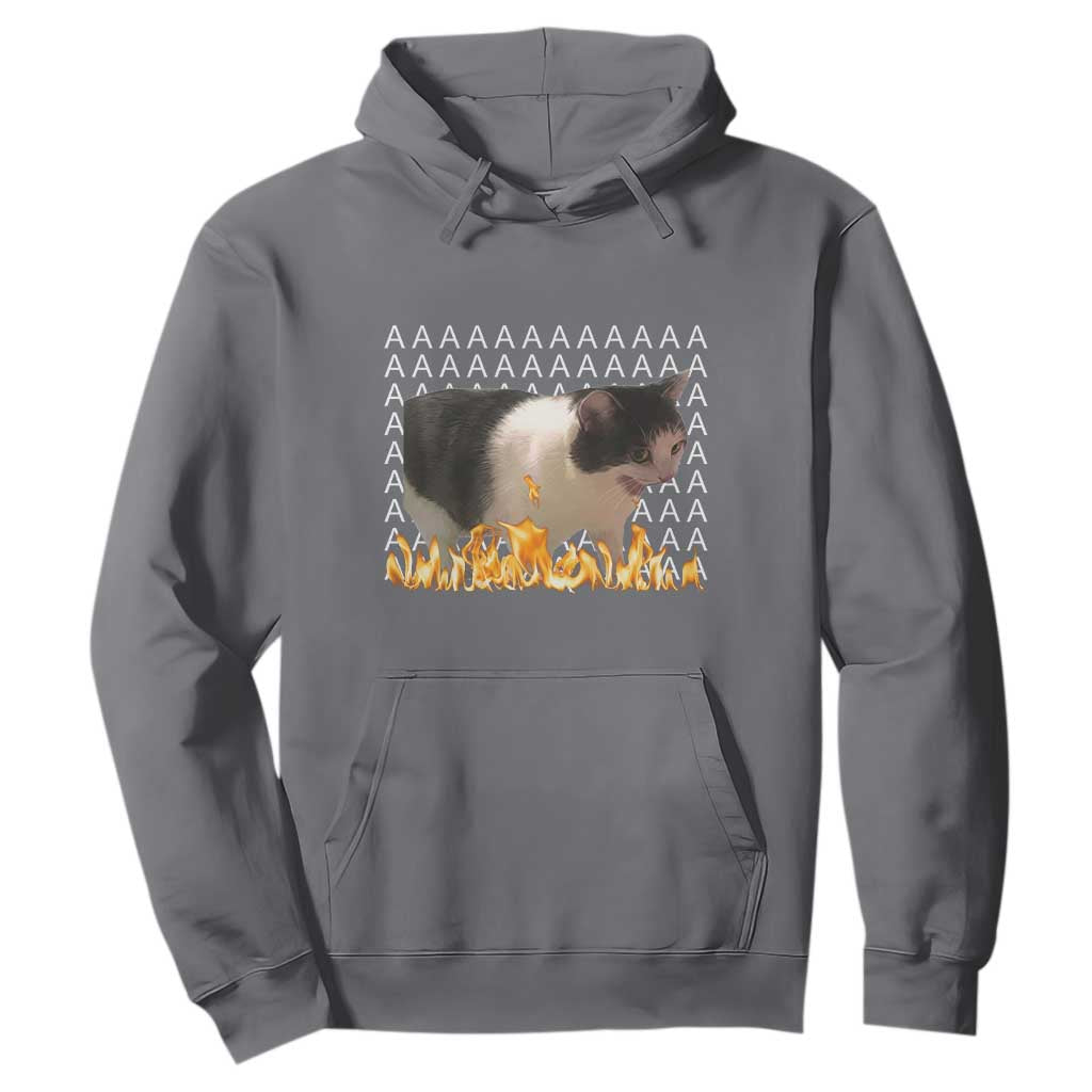 Screaming Cat Meme Hoodie Funny Internet Gen Z Cat Lover TS14 Charcoal Print Your Wear