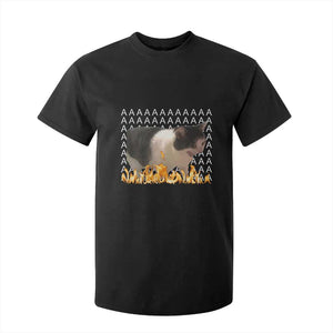 Screaming Cat Meme T Shirt For Kid Funny Internet Gen Z Cat Lover TS14 Black Print Your Wear