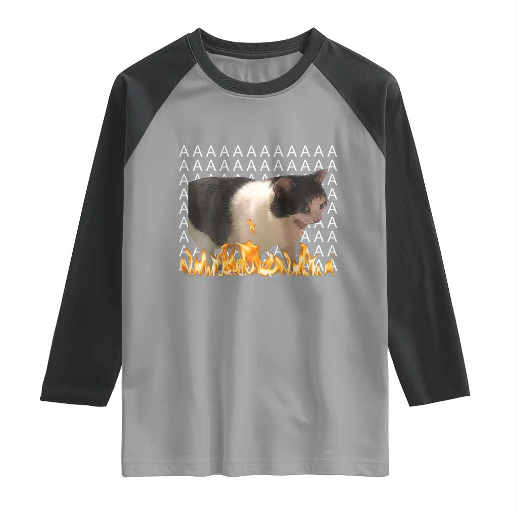 Screaming Cat Meme Raglan Shirt Funny Internet Gen Z Cat Lover TS14 Sport Gray Black Print Your Wear