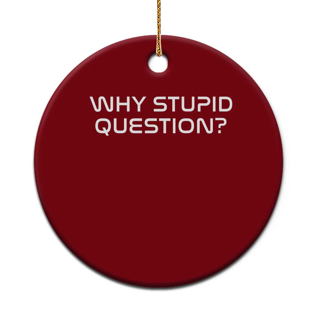 Why Stupid Question Ceramic Ornament Funny Space Quote Sci Fi Book TS14 1pc Red Print Your Wear