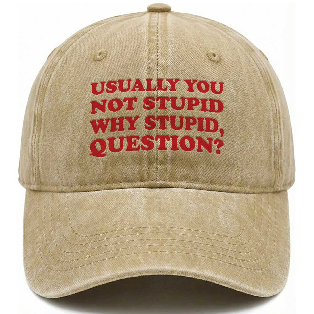 Usually You Not Stupid Why Stupid Question Washed Cotton Baseball Cap Funny Space Quote Sci Fi Book TS14 Print Your Wear