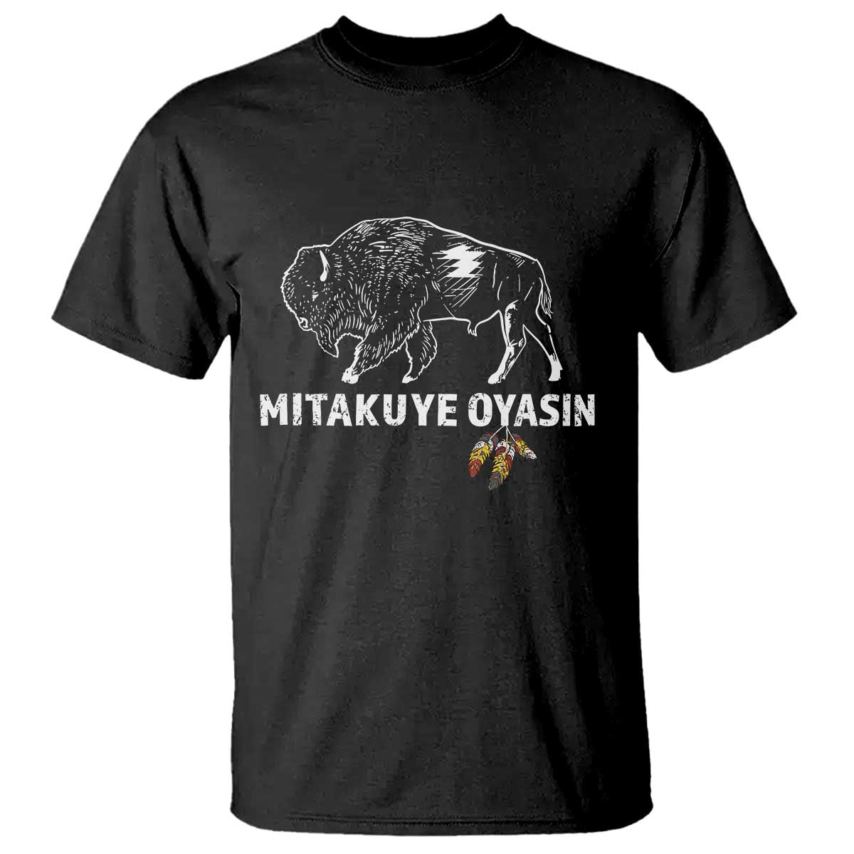 Lakota Tribe Teton Sioux Nation Native American Pride T Shirt TS14 Black Print Your Wear