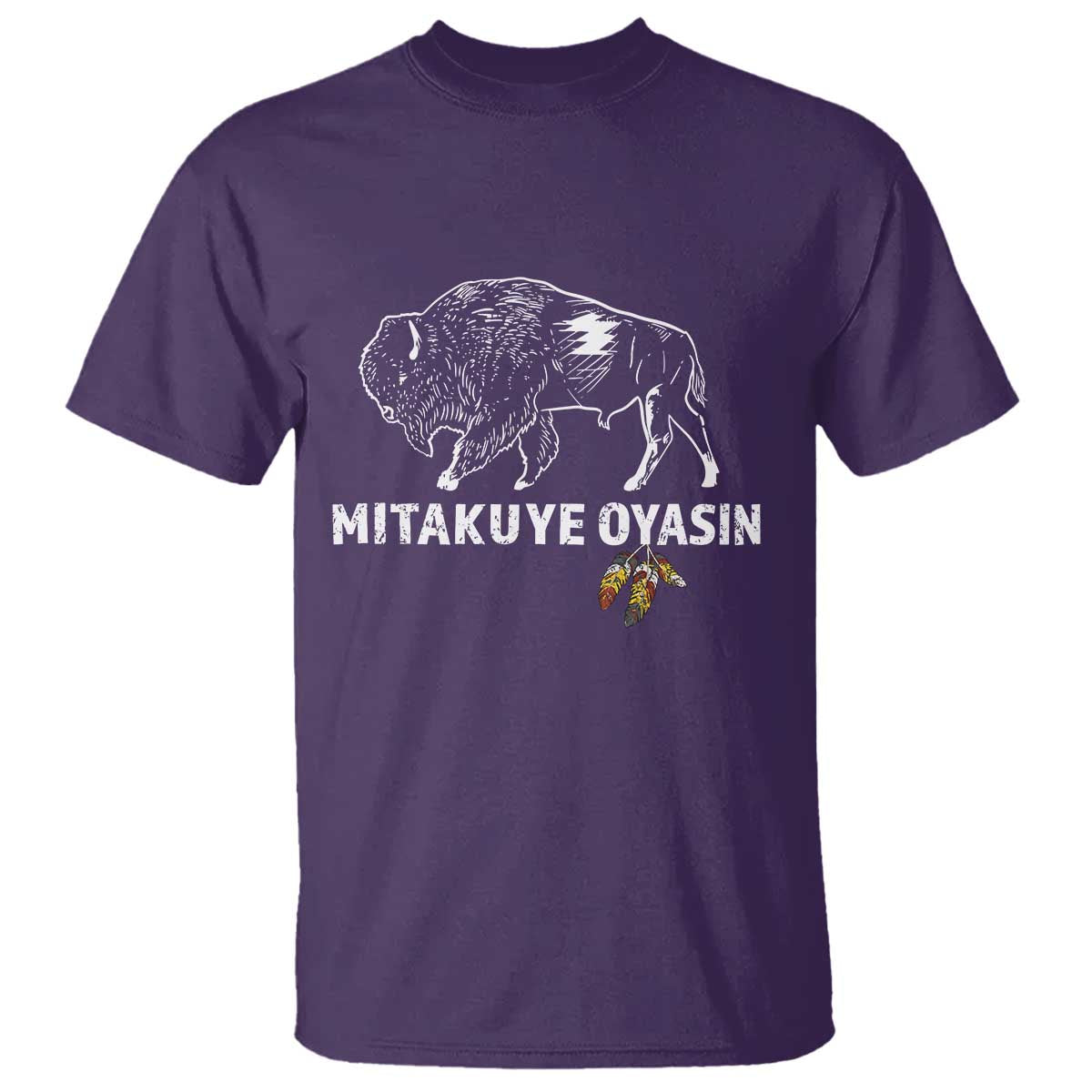 Lakota Tribe Teton Sioux Nation Native American Pride T Shirt