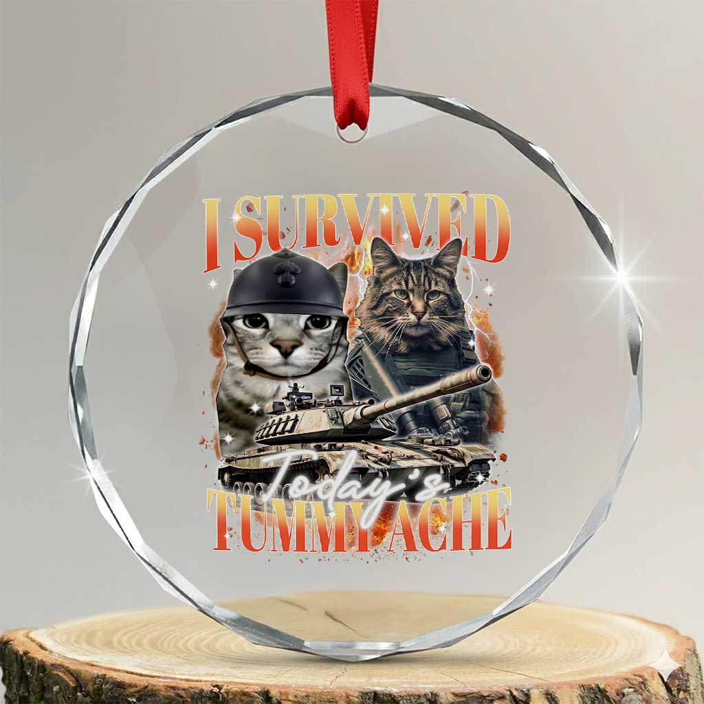 Tummy Ache Survivor Cat Meme Crystal Glass Ornament Funny Saying Cats Bootleg TS10 Transparent Glass 3'' Circle Print Your Wear