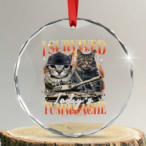 Tummy Ache Survivor Cat Meme Crystal Glass Ornament Funny Saying Cats Bootleg TS10 Transparent Glass 3'' Circle Print Your Wear
