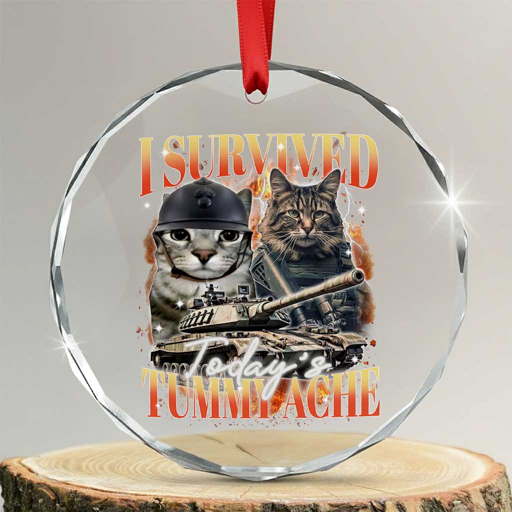 Tummy Ache Survivor Cat Meme Crystal Glass Ornament Funny Saying Cats Bootleg - Print Your Wear