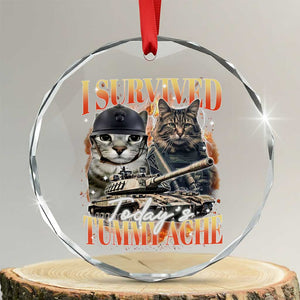 Tummy Ache Survivor Cat Meme Crystal Glass Ornament Funny Saying Cats Bootleg - Print Your Wear