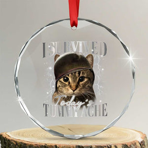 Tummy Ache Survivor Cat Meme Crystal Glass Ornament Funny Saying Cats Cat Bootleg TS10 Transparent Glass 3'' Circle Print Your Wear