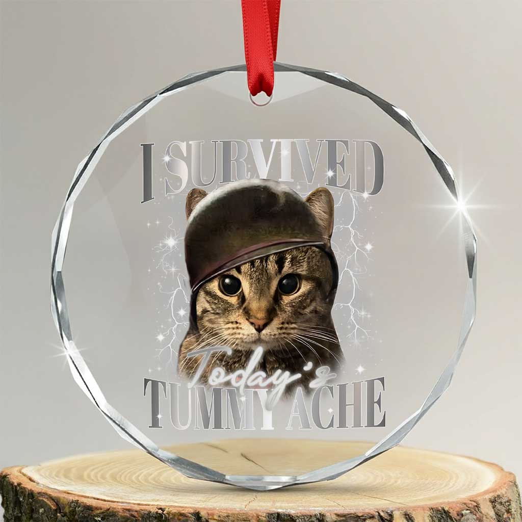 Tummy Ache Survivor Cat Meme Crystal Glass Ornament Funny Saying Cats Cat Bootleg - Print Your Wear