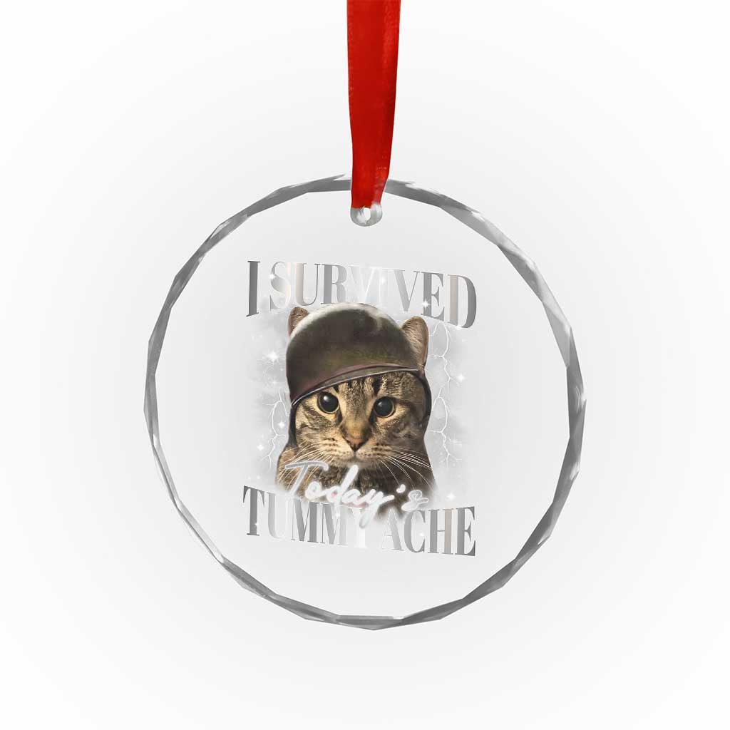 Tummy Ache Survivor Cat Meme Crystal Glass Ornament Funny Saying Cats Cat Bootleg TS10 Print Your Wear