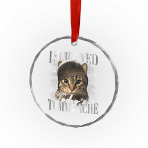 Tummy Ache Survivor Cat Meme Crystal Glass Ornament Funny Saying Cats Cat Bootleg - Print Your Wear