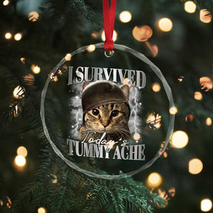 Tummy Ache Survivor Cat Meme Crystal Glass Ornament Funny Saying Cats Cat Bootleg - Print Your Wear