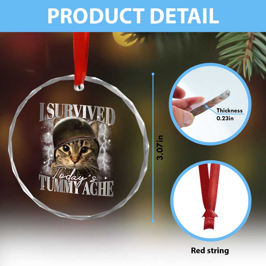 Tummy Ache Survivor Cat Meme Crystal Glass Ornament Funny Saying Cats Cat Bootleg TS10 Print Your Wear