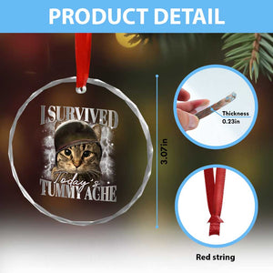 Tummy Ache Survivor Cat Meme Crystal Glass Ornament Funny Saying Cats Cat Bootleg TS10 Print Your Wear
