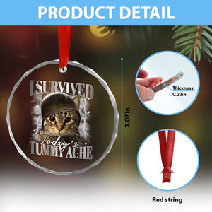 Tummy Ache Survivor Cat Meme Crystal Glass Ornament Funny Saying Cats Cat Bootleg - Print Your Wear