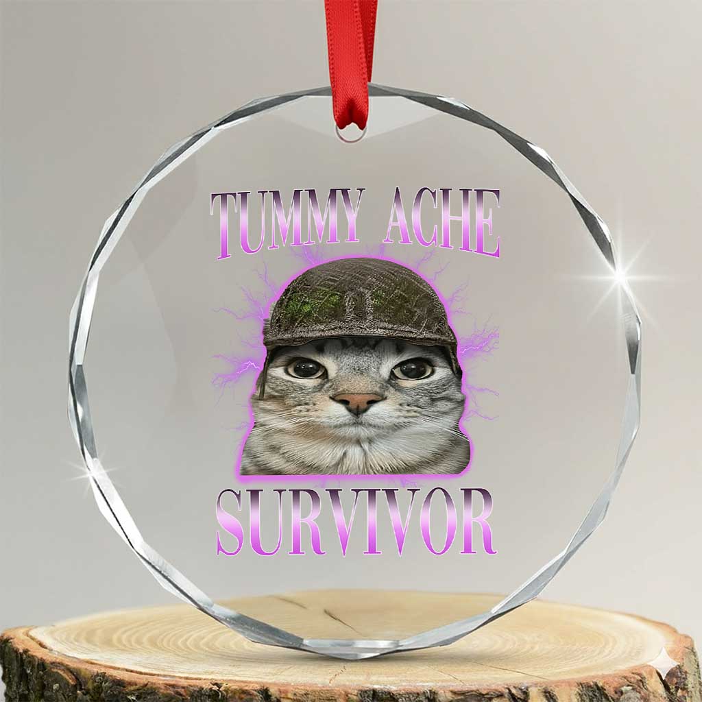 Tummy Ache Survivor Cat Meme Crystal Glass Ornament Funny Trending Oddly Specific Brainrot Memes TS10 Transparent Glass 3'' Circle Print Your Wear