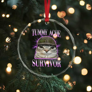Tummy Ache Survivor Cat Meme Crystal Glass Ornament Funny Trending Oddly Specific Brainrot Memes TS10 Print Your Wear