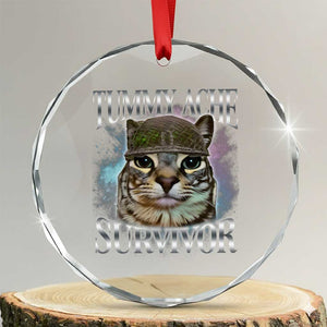 Tummy Ache Survivor Cat Meme Crystal Glass Ornament Vintage 90s Graphic Funny Stomach Issues Bootleg TS10 Transparent Glass 3'' Circle Print Your Wear