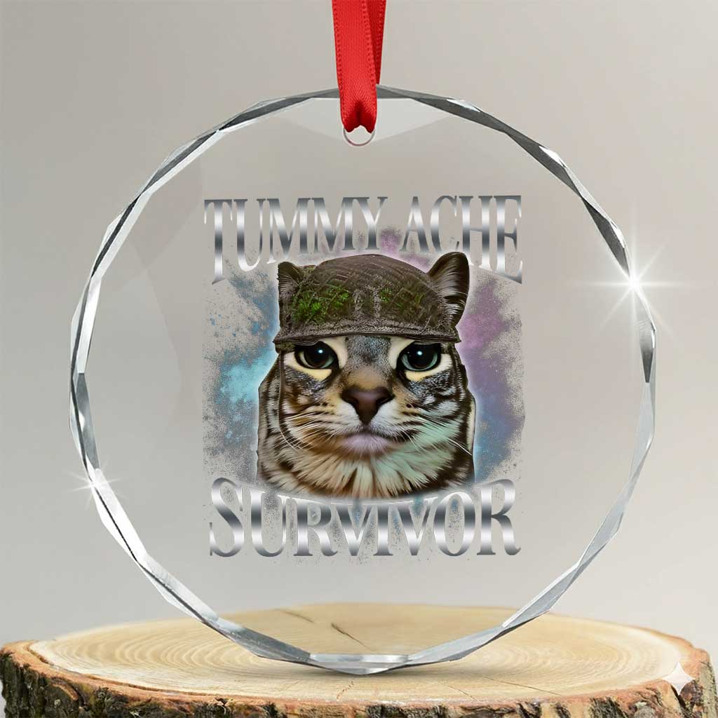 Tummy Ache Survivor Cat Meme Crystal Glass Ornament Vintage 90s Graphic Funny Stomach Issues Bootleg TS10 Transparent Glass 3'' Circle Print Your Wear